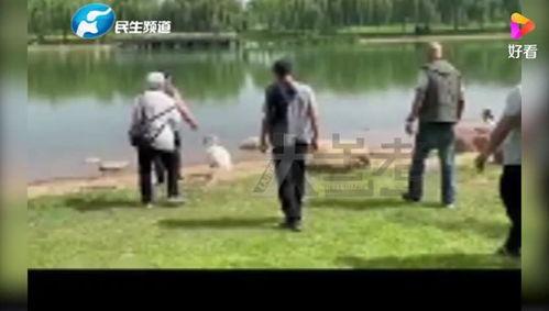 河南男学生爆料新闻事件,揭开校园霸凌黑幕 第3张 河南男学生爆料新闻事件,揭开校园霸凌黑幕 第3张